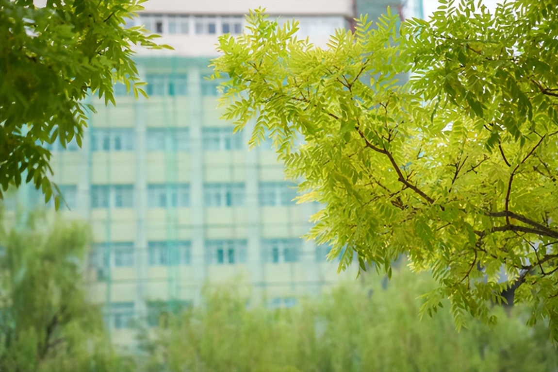 中美大学联合研发疫苗,天津大学实验室研究出疫苗