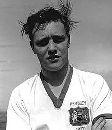 哪个球队是你心中的最佳,哪个球队比较厉害