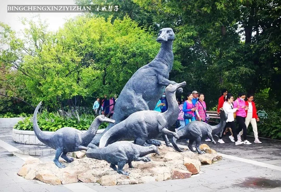 黑龙江恐龙之乡嘉荫县,中俄边境伊春市嘉荫县