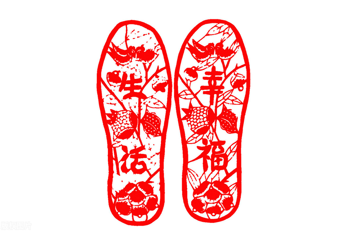 耳朵被剪掉后的样子,耳朵被剪愈合后的样子