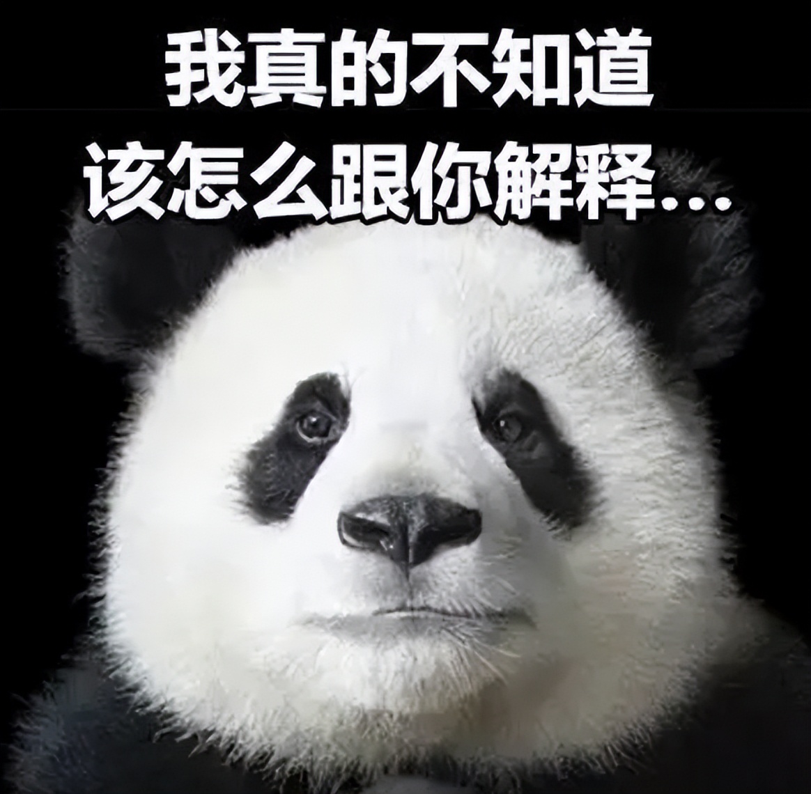 世界杯哪些人受伤了,世界杯强队集体翻车