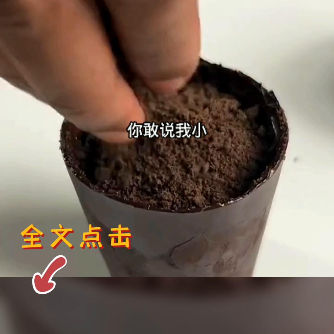 小说狐仙,小说排行榜前十名