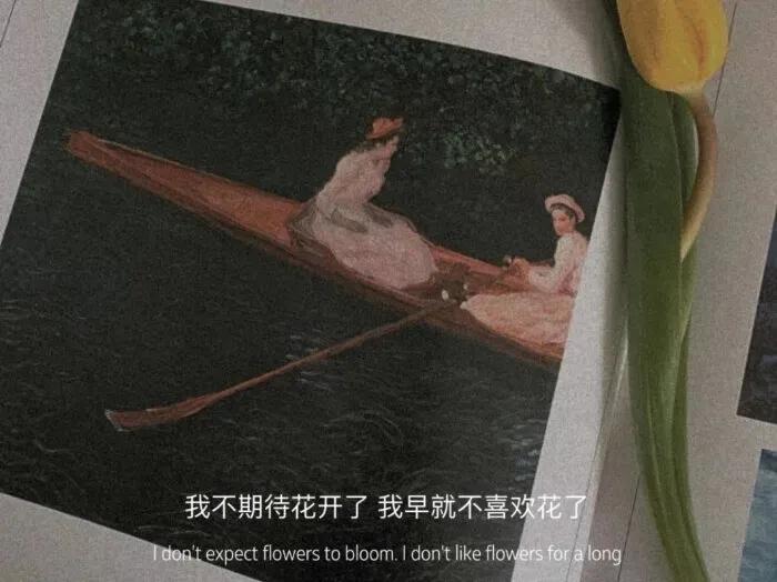 文字控背景图带字,文字控背景图推荐