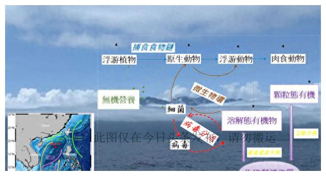 科学家找到专吃病毒生物,发现病毒的科学家是谁