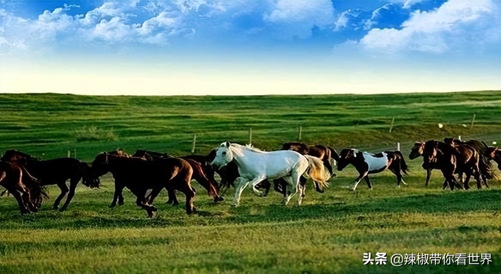 壮美内蒙古鄂尔多斯,内蒙古鄂尔多斯风景