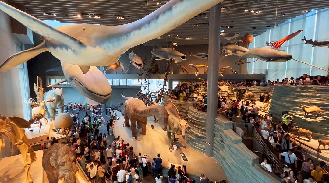 上海自然博物馆隐藏打卡,探秘上海隐秘地