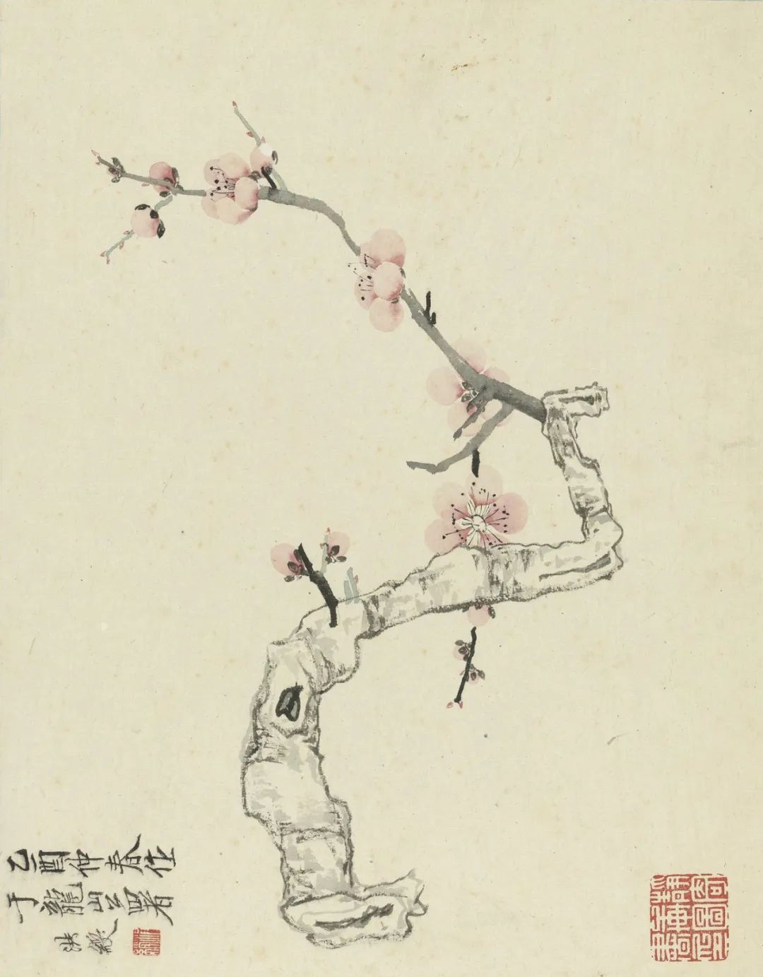 慕容看世界的视频,慕容看世界所有视频