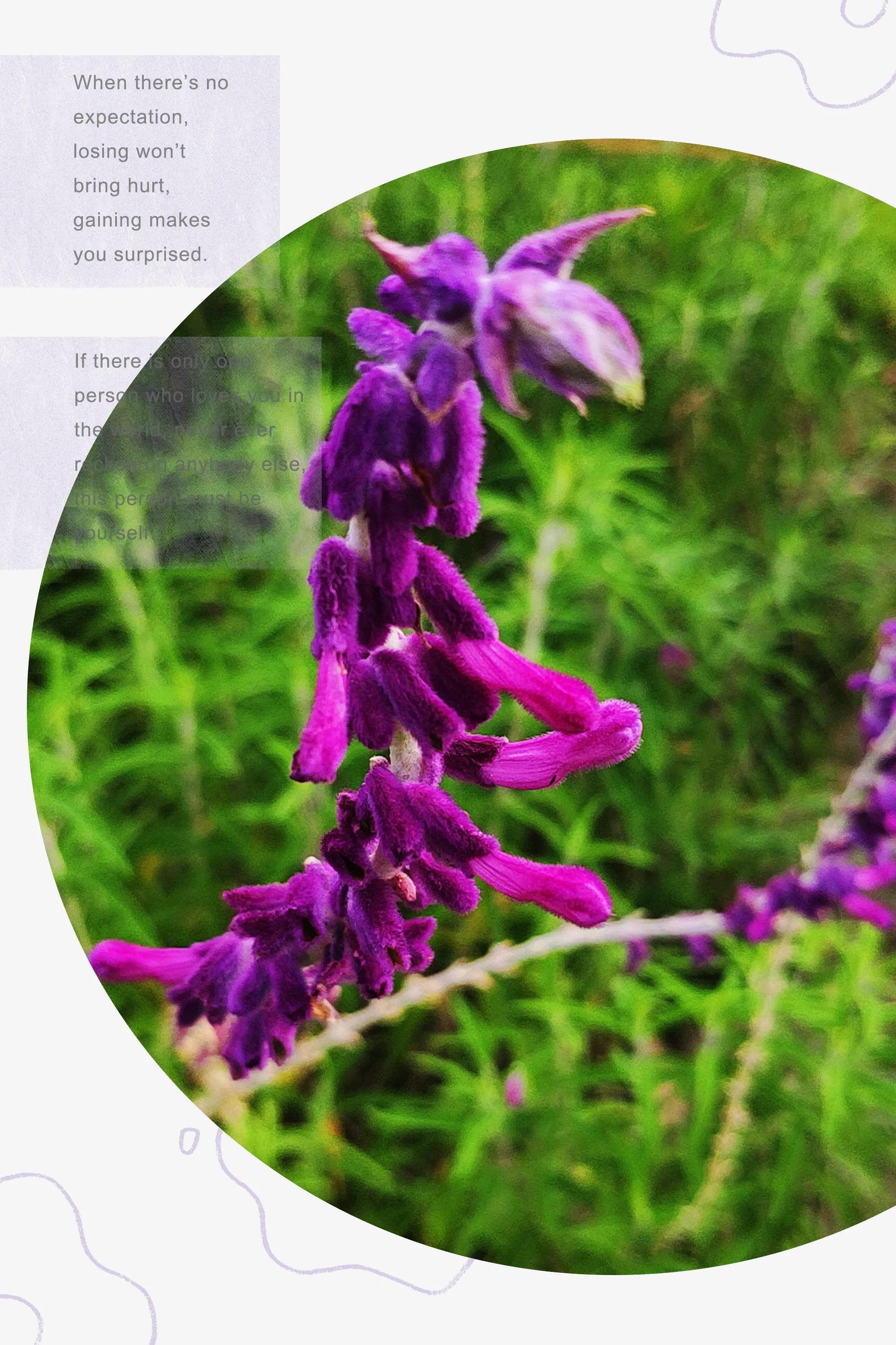 田园美景竖屏大图,乡村田园风景手机怎么拍