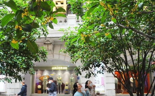 陶醉在秋天的诗句,陶醉在秋天美景