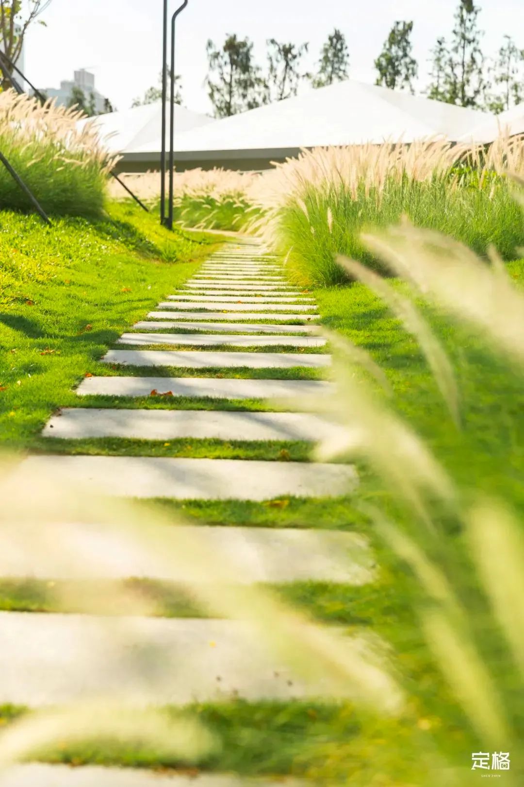 周末来深圳这10个地方免费玩,深圳周末去哪玩免费的地方