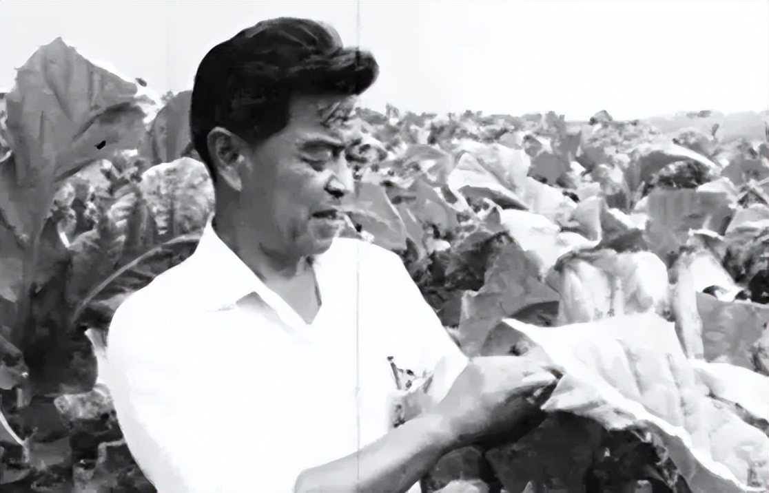 盘点那些中国绝版老香烟,中国绝版老香烟