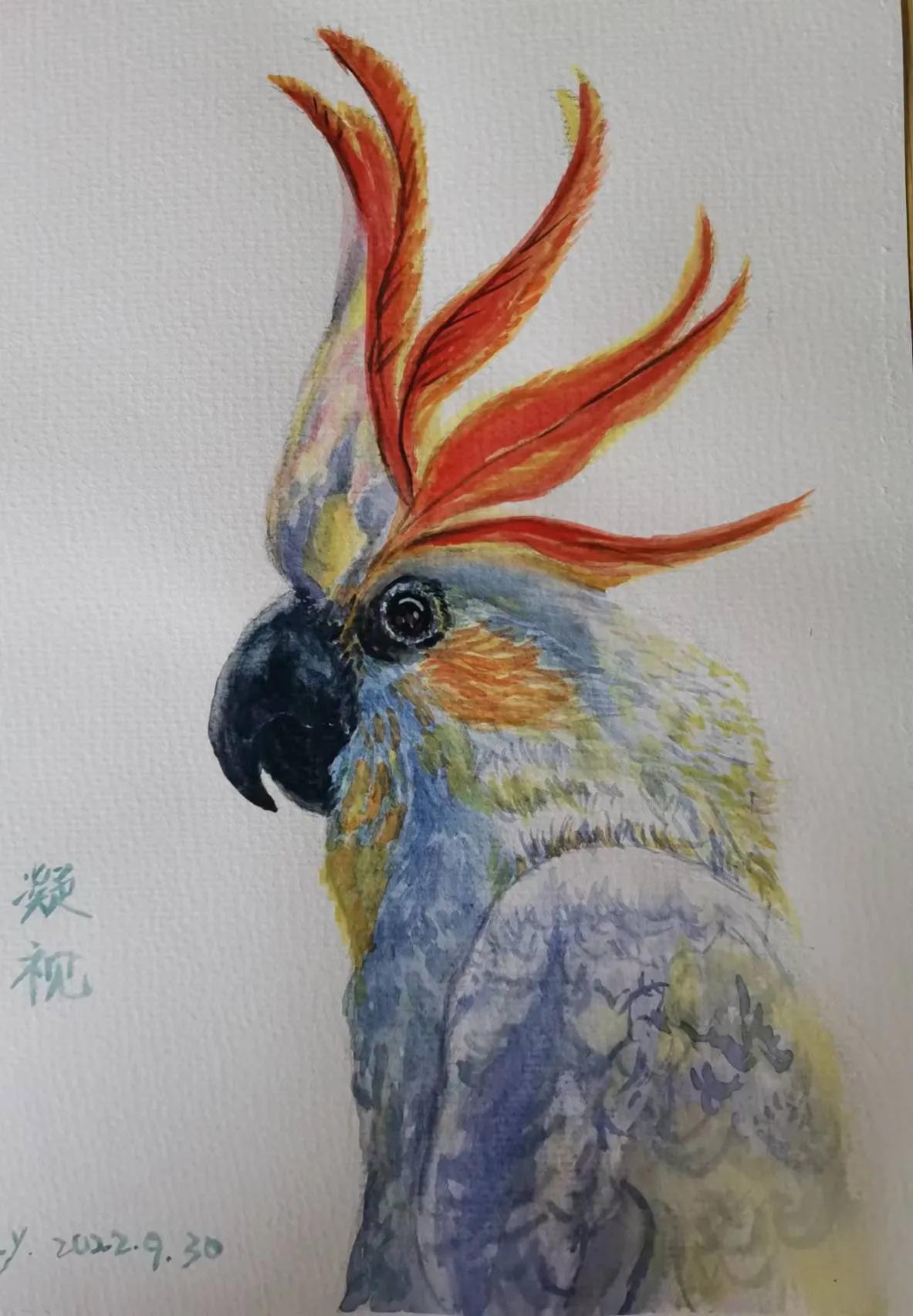 幸福原创画吧画友最新作品分享,幸福画吧所有作品