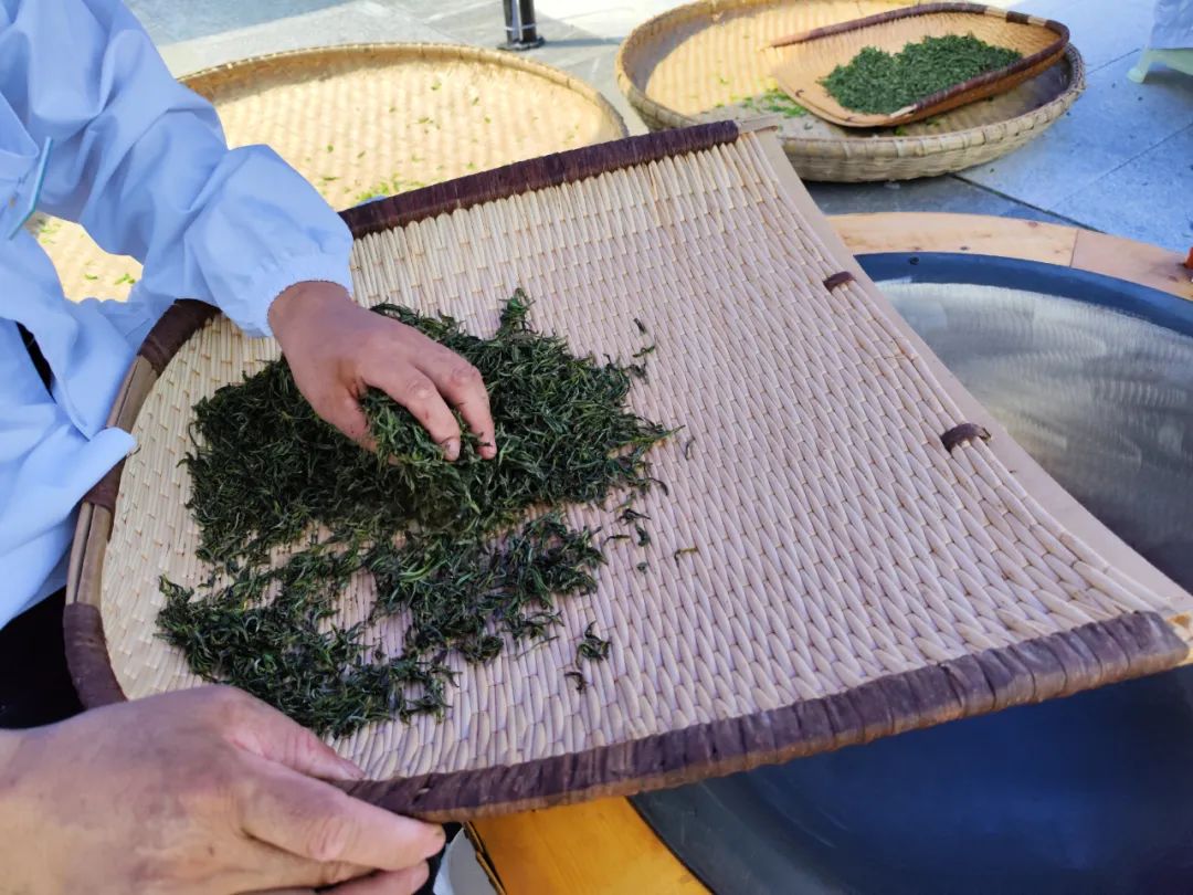 西乡县茶叶镇樱桃采摘,陕西汉中哪里可以摘樱桃