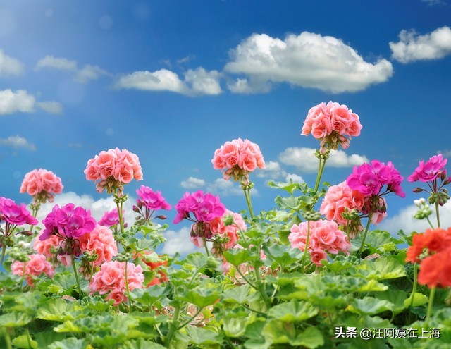 浣忓淇濆涓嶇敤鑰冭瘉,浣忓淇濆鍜岄挓鐐瑰伐鏀跺叆