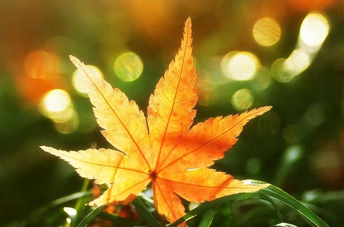 当你很老了,手里没什么钱,儿女也不管你,说明了三个问题