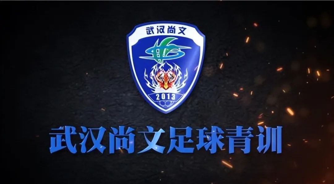 武汉三镇为什么叫升班马,武汉三镇升班马为什么那么强