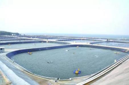 高位池总碱度低怎么处理,高位池总碱度正常范围是多少