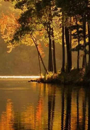 愁是心上秋文案,愁是离人心上秋的下联