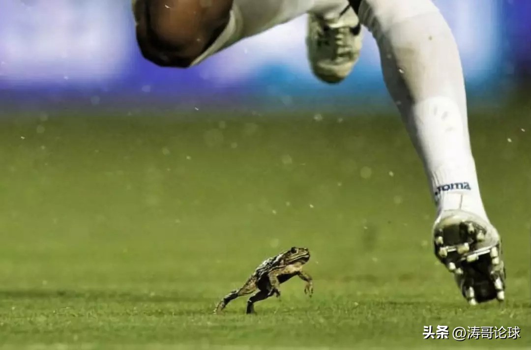 世界足坛奇闻怪事,谈论天下趣事