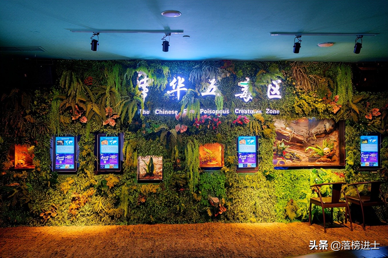 成都浩海立方的海洋馆游玩攻略,浩海立方成都海洋馆世界之最