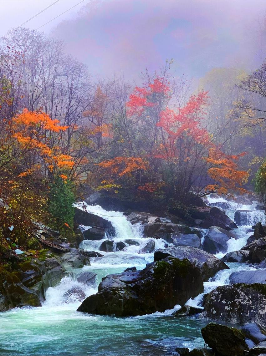 李商隐的夜雨寄北写于何年,李商隐的夜雨寄北表达什么