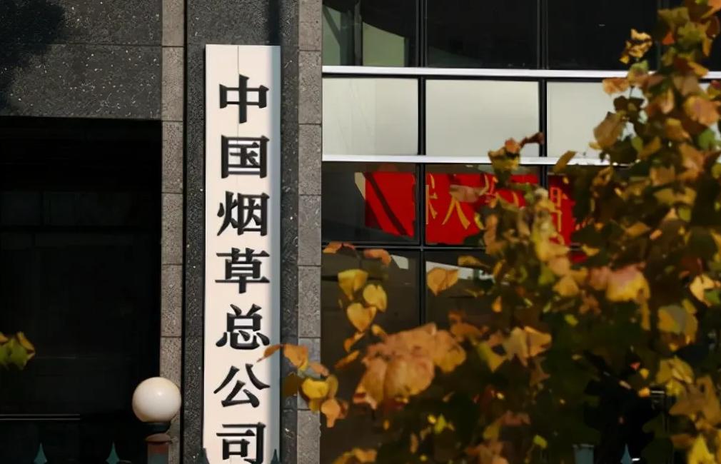 中国烟草最认可的大学,中国烟草最认可的六所大学