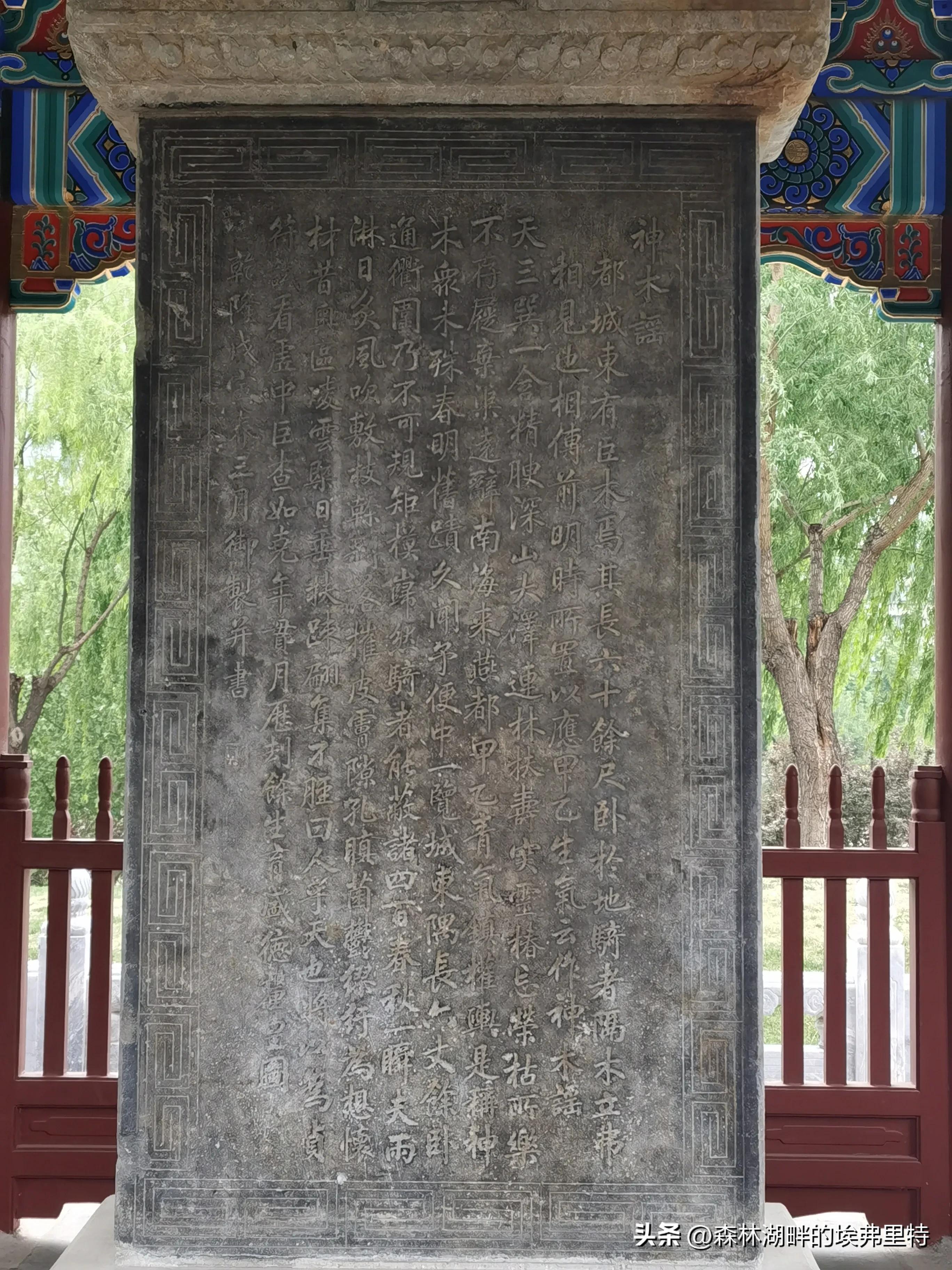 北京庆丰公园里的“神木”