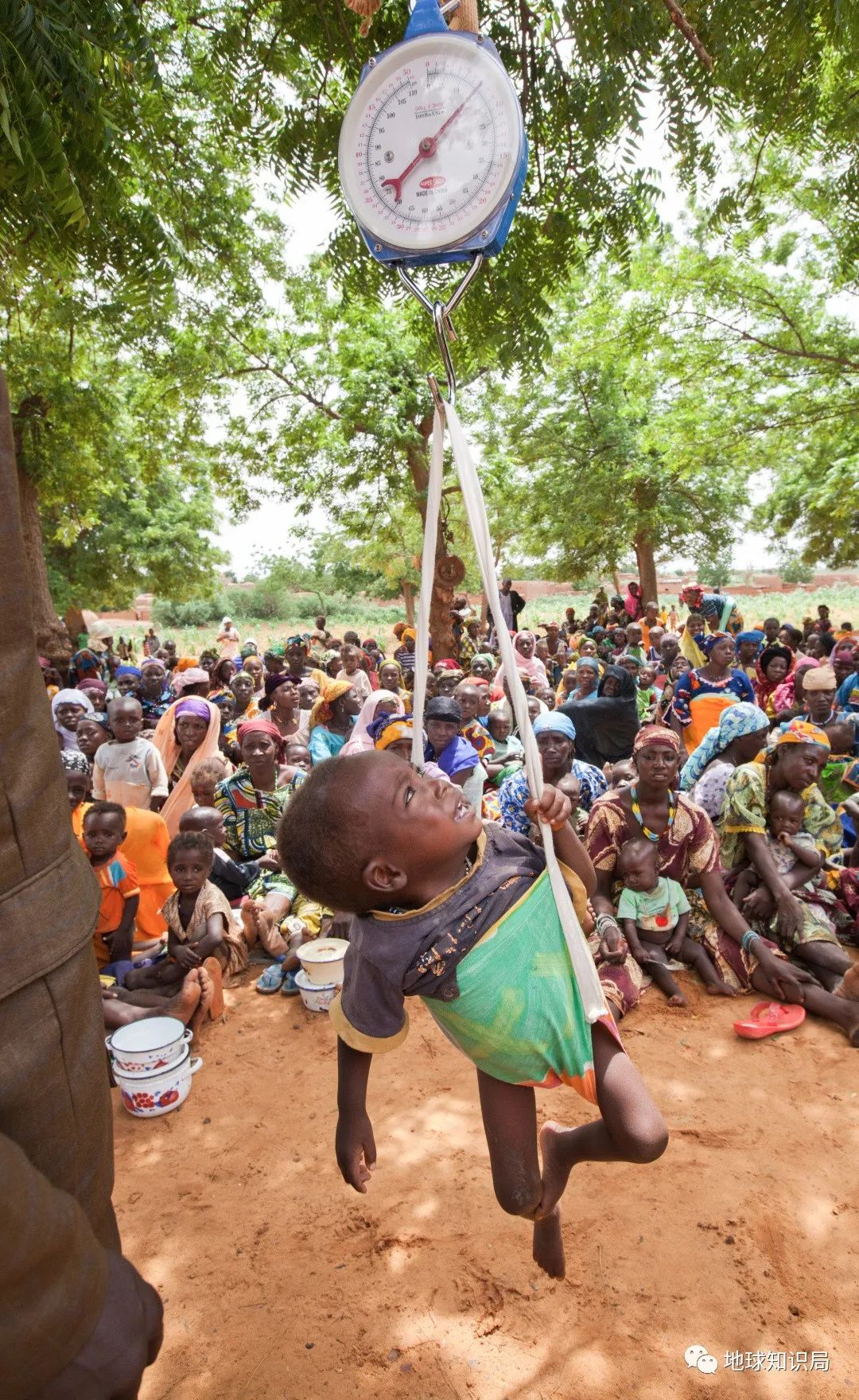 刚刚,人口突破80亿!中国人口即将负增长|地球知识局