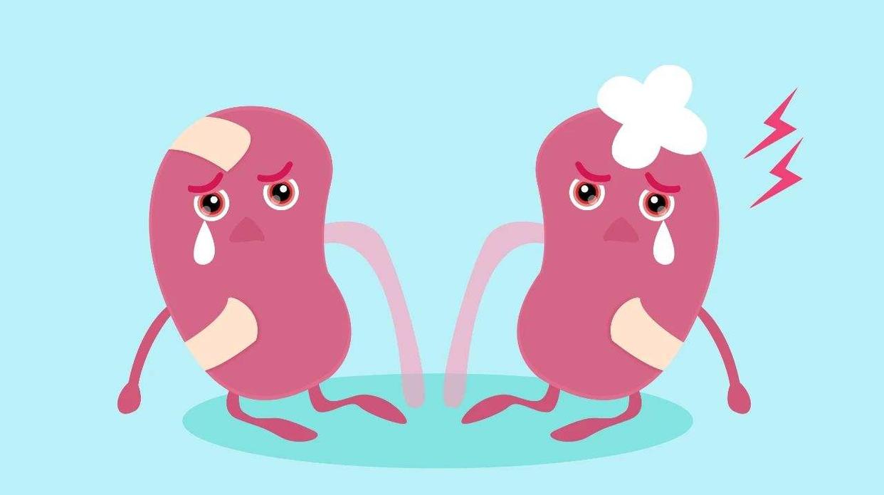 吃馒头还是吃米饭有助于减肥,减肥吃馒头还是米饭瘦得快