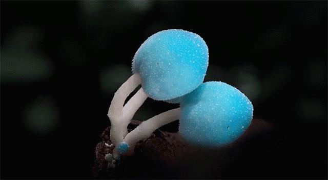 父亲中风无法自理,爸爸中风心里难受