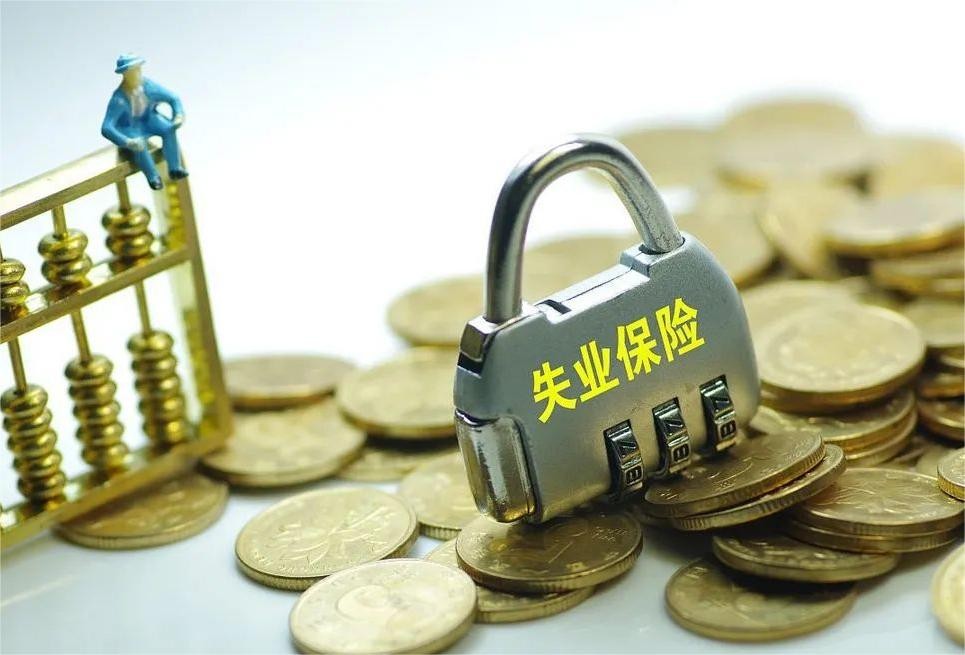 失业保险如何发挥促进就业的功能,失业保险的实施方案有哪些