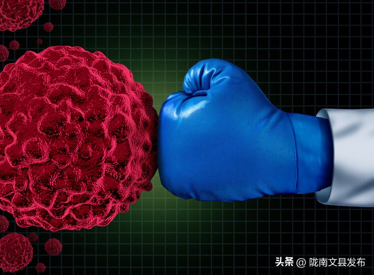 青蒿素抗癌的最新研究,日本研究出青蒿素可以治疗癌症