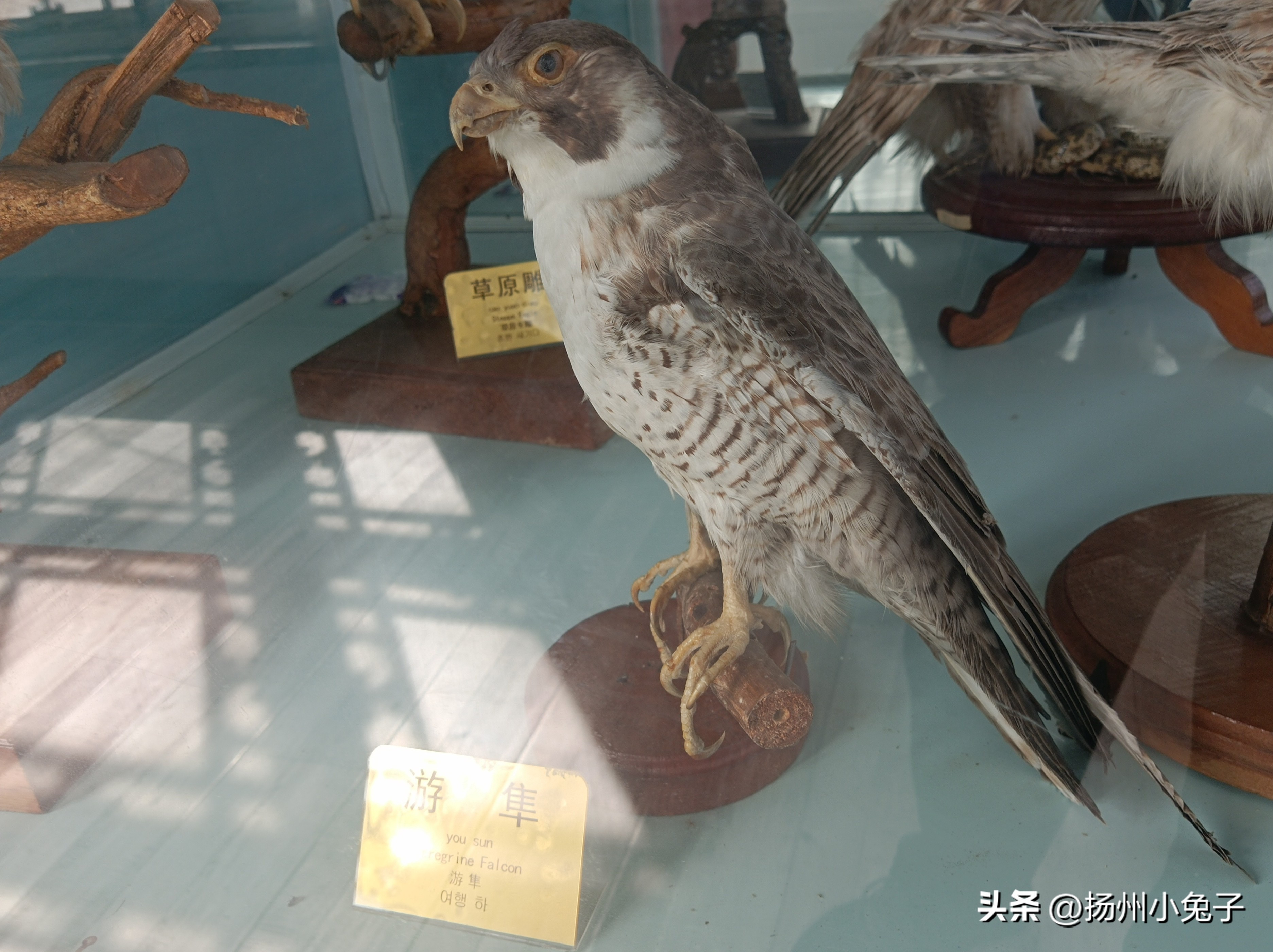 峰山林海打卡景点,打卡森林公园热带雨林