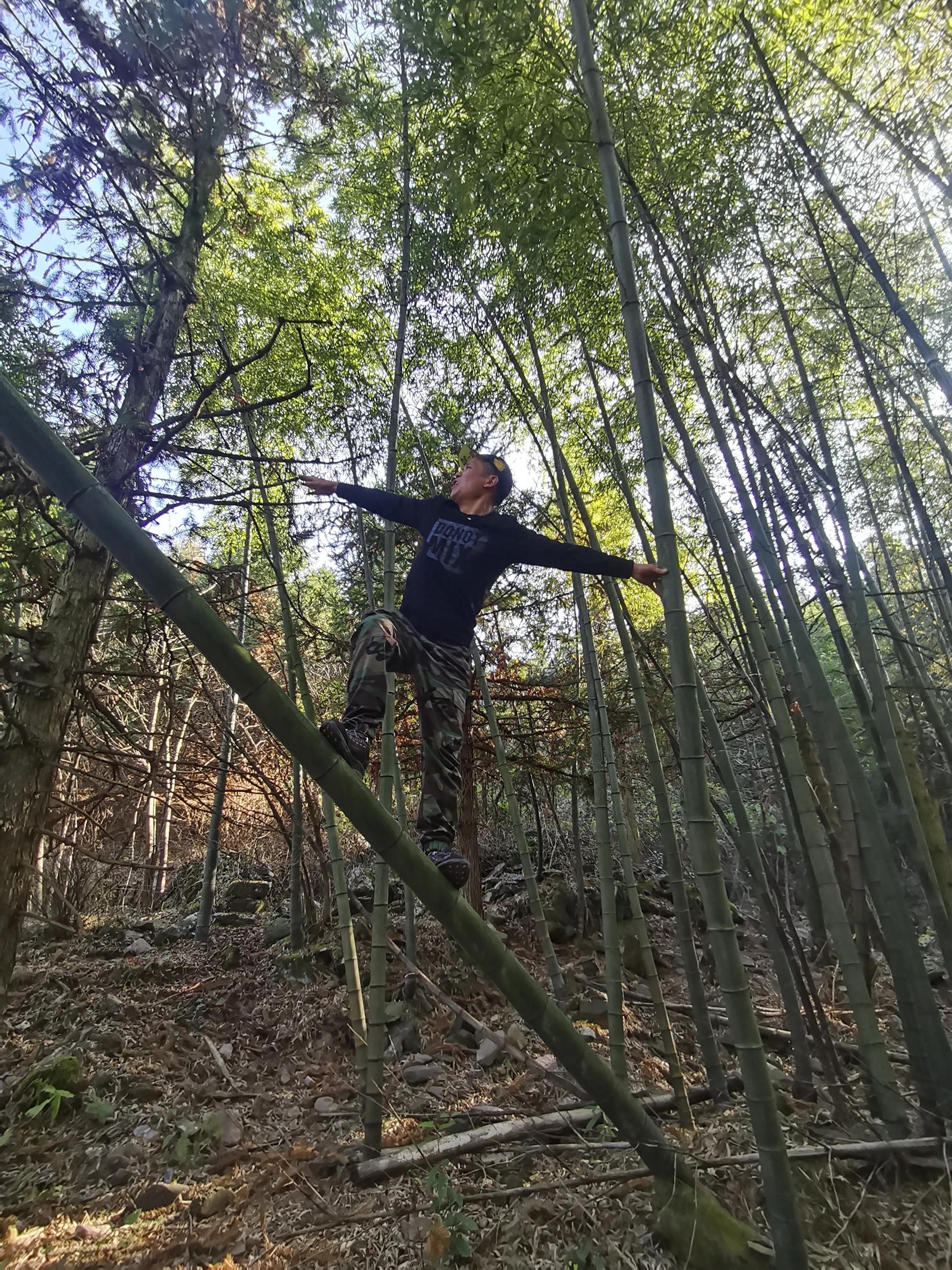 环岱山全程徒步要多久,新邵龙山自驾怎么走