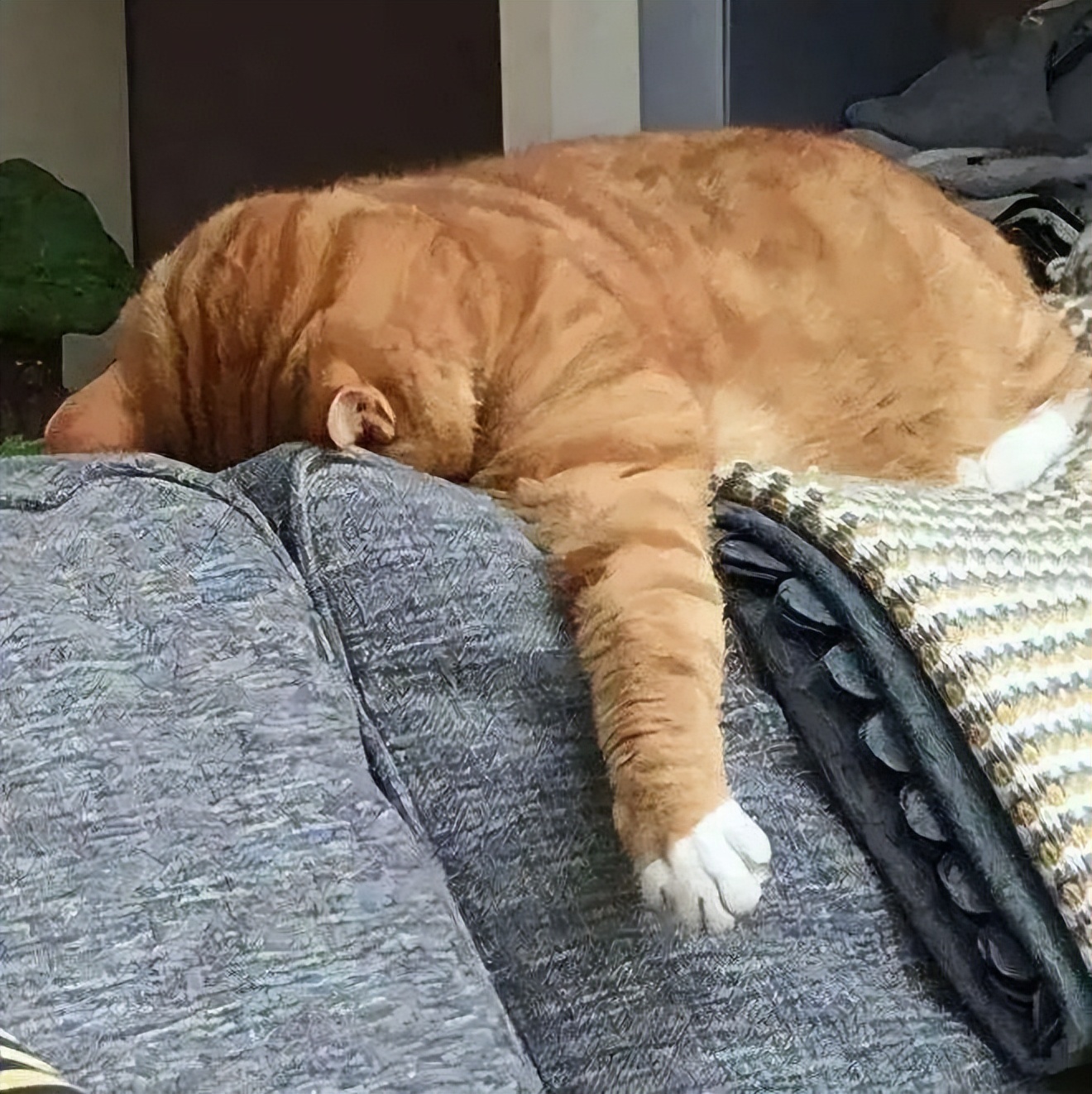 2023十大网络热词总结,2023网络热词排行榜4个字