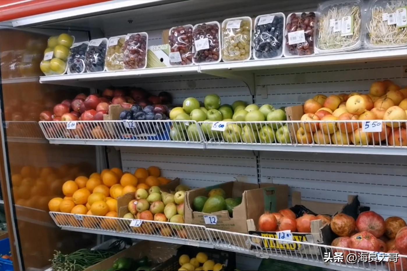 第15章：船终于回国，船员下地目的明确，而我却有大发现