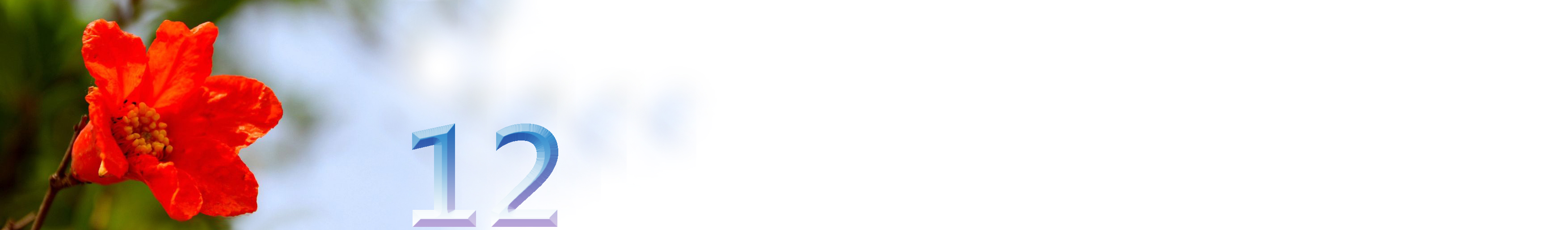 五月石榴花开的唯美诗句,关于石榴花的美文和诗句