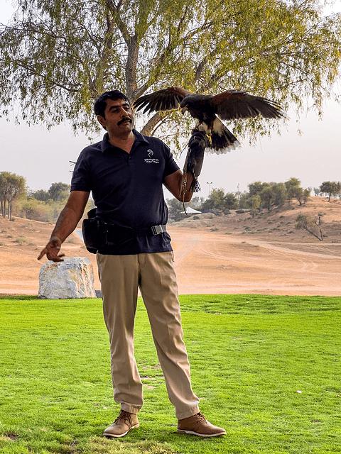 哈伊马角利兹卡尔顿,哈伊马角沙漠丽思卡尔顿酒店