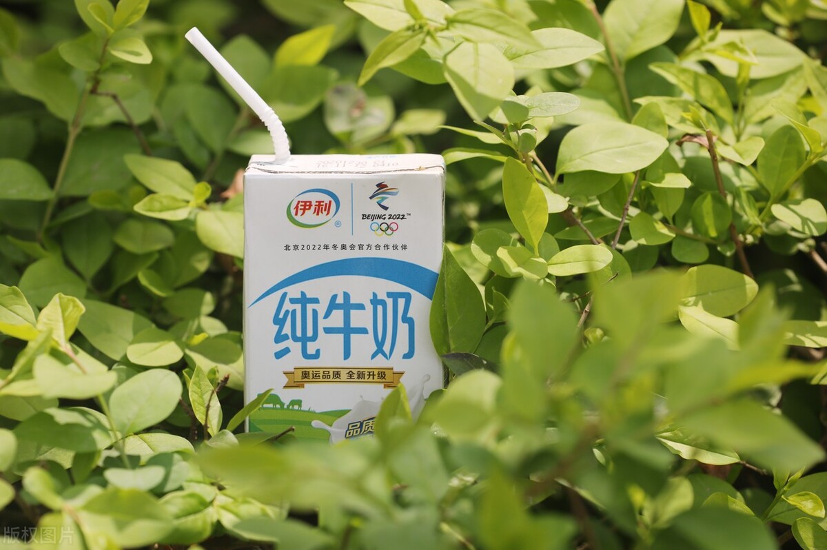 伊利纯牛奶和金典纯牛奶区别,伊利金典纯牛奶焕新升级