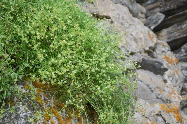 欧洲顶级徒步路线,全球绝美顶级徒步路线