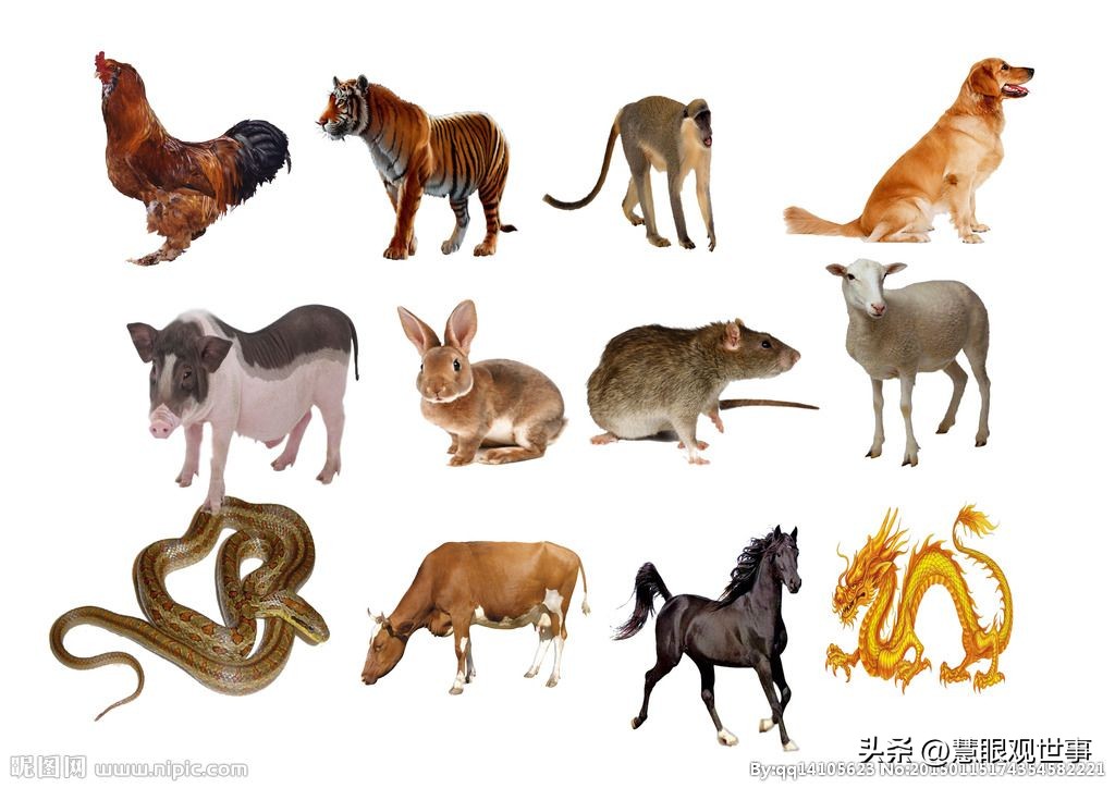 山西孝义土话大全 (山西孝义土话大全集)