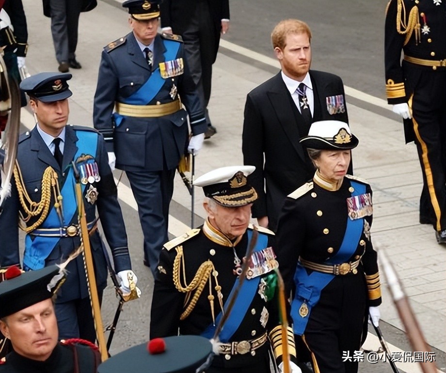 英国王室最新消息威廉查尔斯,英王室宣告哈里夫妇出局
