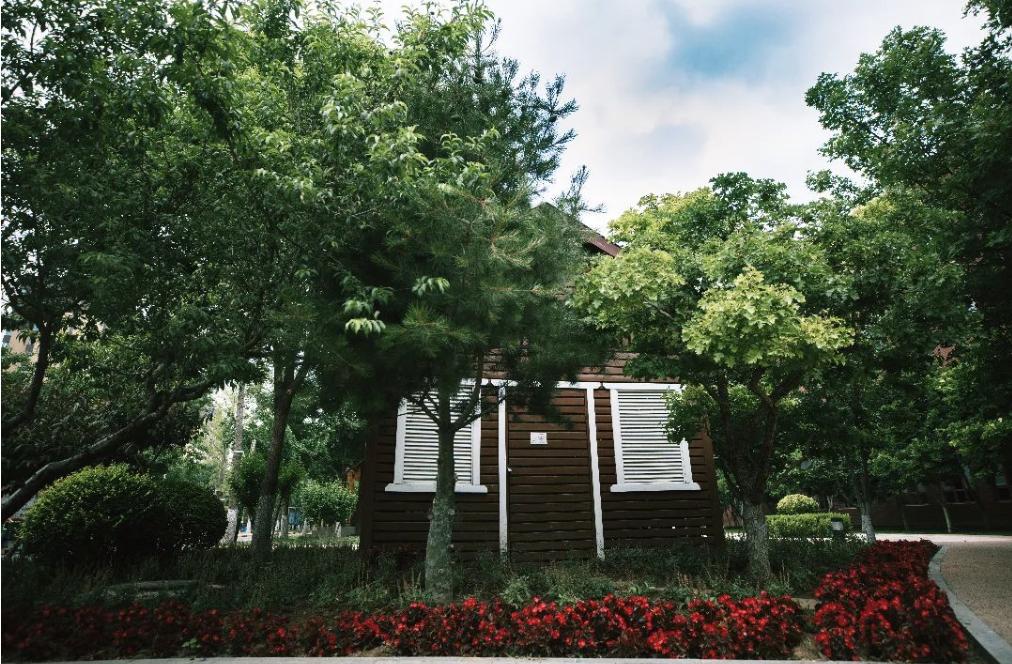 经开区2024年教师招聘,经开区教师招聘2024