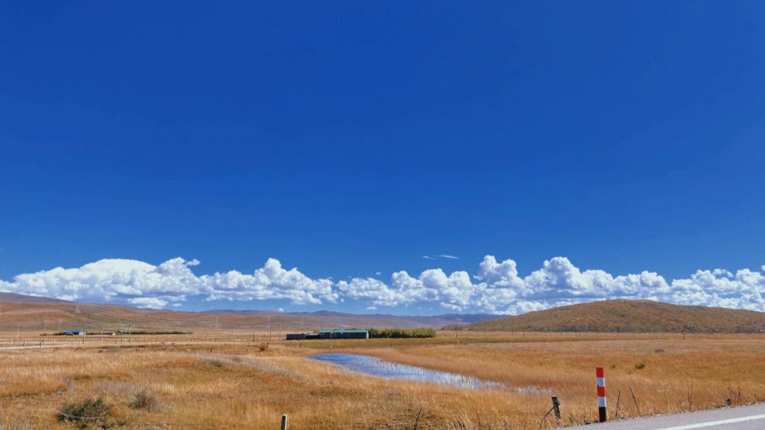 四川最美草原—若尔盖草原欣赏