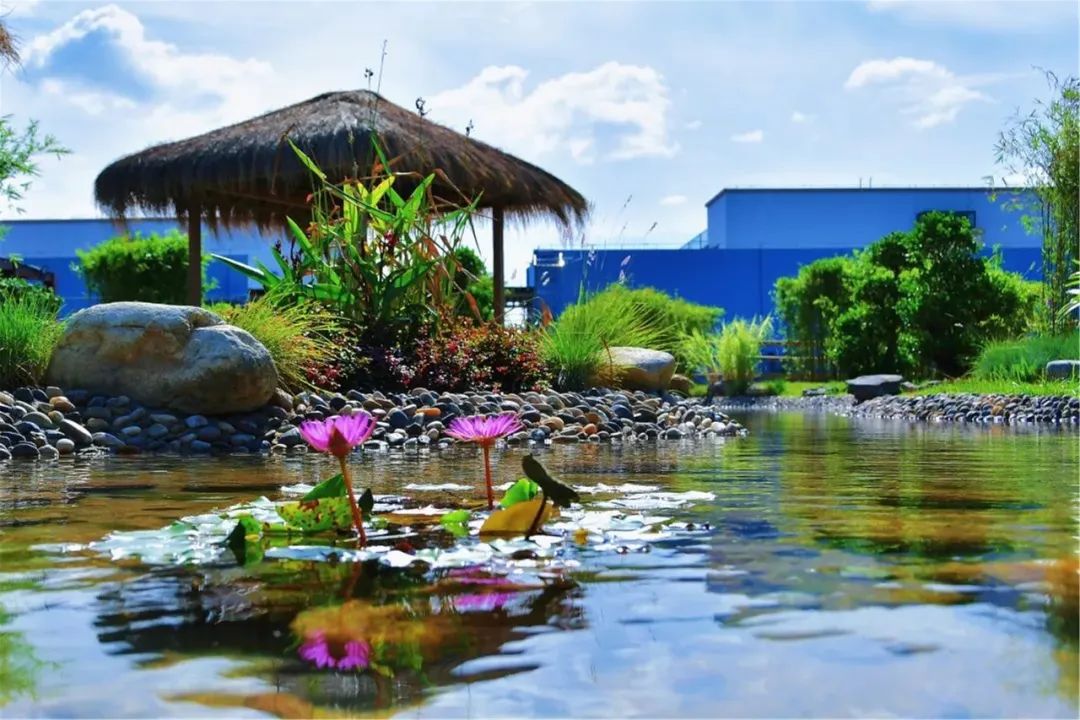 德琳学校怎么样,德琳学校学费一览表