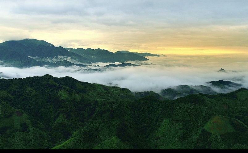 杭州游玩必去的十大景点,杭州必去旅游的十大景点