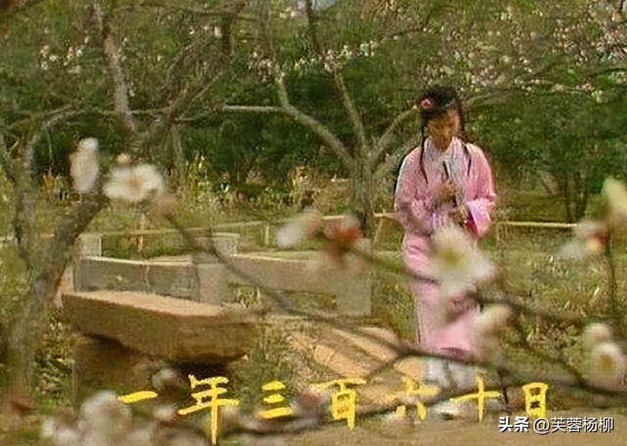 林黛玉陈晓旭葬花,陈晓旭评价黛玉哭了