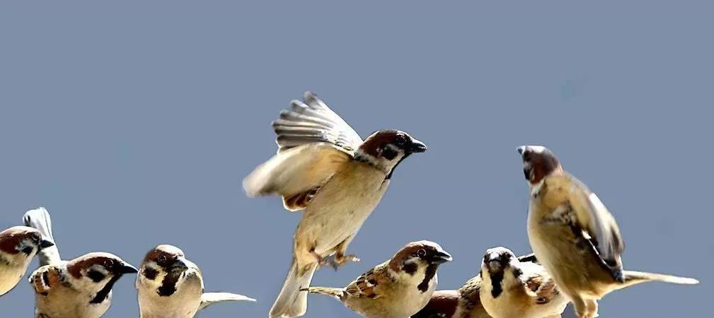 一场有预谋的雨,一场淅淅沥沥的雨