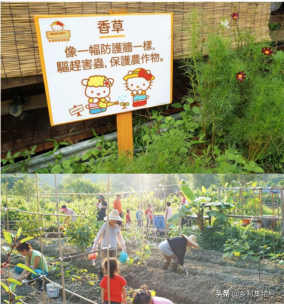 棣欐腐鐨刪ellokitty鍐滃簞,hellokitty鍐滃簞鍥剧墖