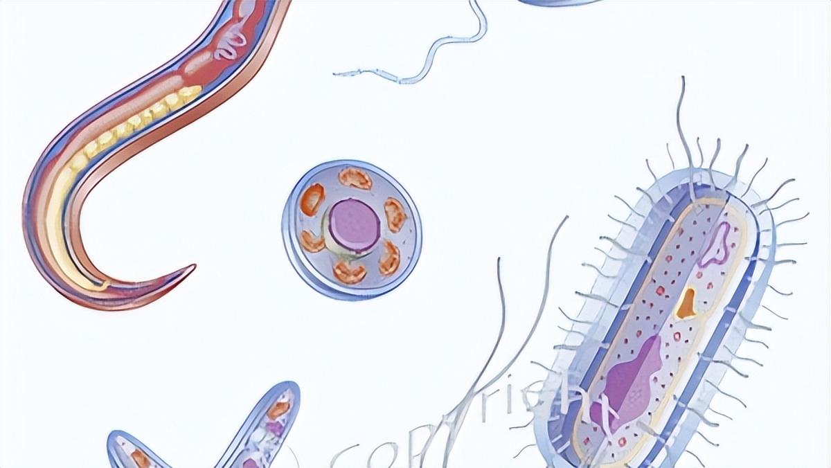 妇女外阴瘙痒是什么原因引起的,女士外阴瘙痒是什么原因引起的